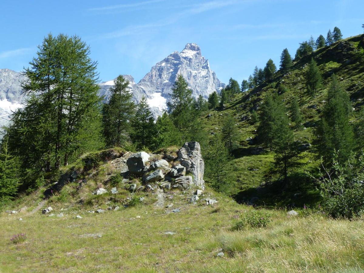 Le Petit Refuge Cervinia Daire Breuil-Cervinia Dış mekan fotoğraf