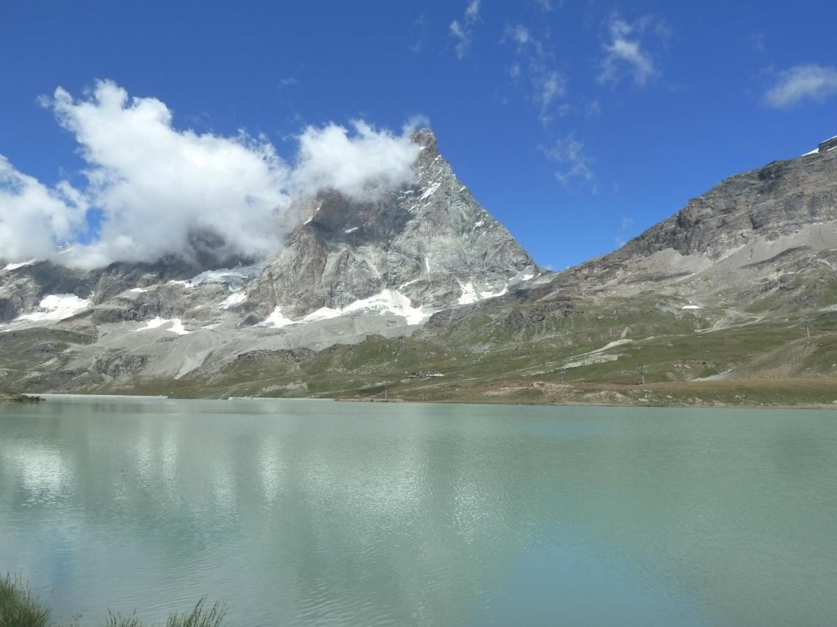 Le Petit Refuge Cervinia Daire Breuil-Cervinia Dış mekan fotoğraf