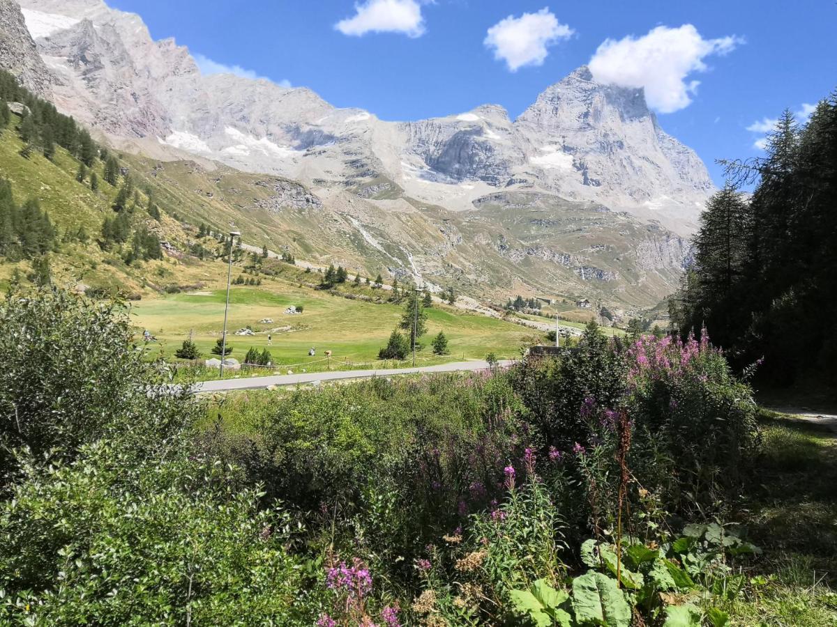 Le Petit Refuge Cervinia Daire Breuil-Cervinia Dış mekan fotoğraf