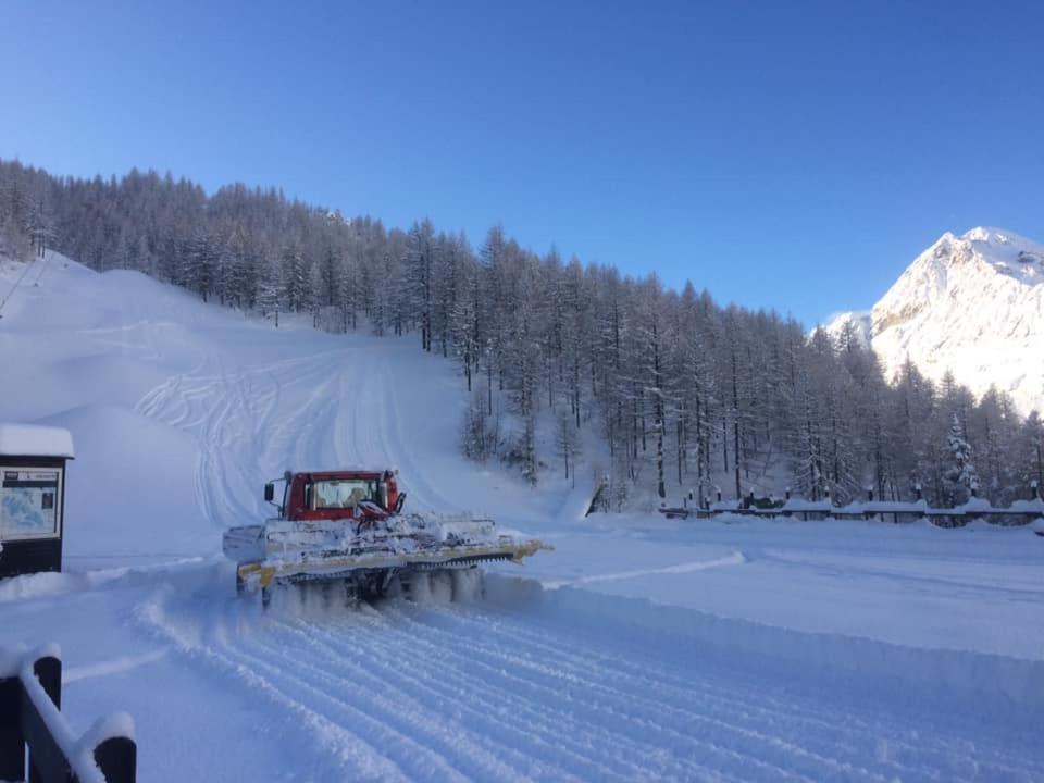 Le Petit Refuge Cervinia Daire Breuil-Cervinia Dış mekan fotoğraf