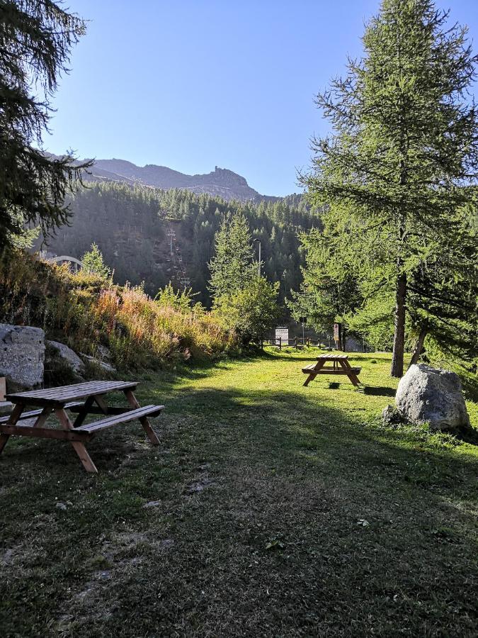 Le Petit Refuge Cervinia Daire Breuil-Cervinia Dış mekan fotoğraf