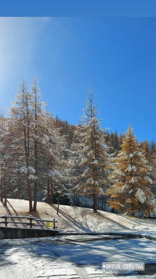 Le Petit Refuge Cervinia Daire Breuil-Cervinia Dış mekan fotoğraf